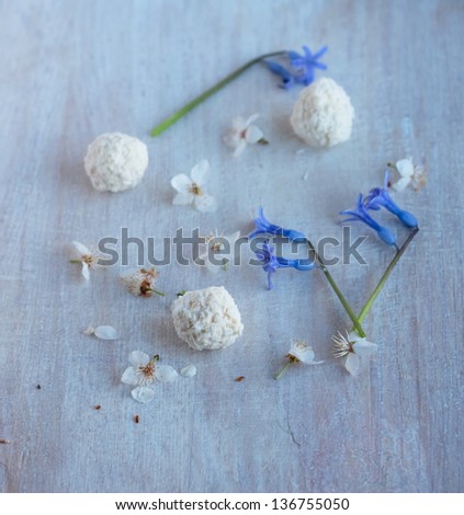 round candies in coconut chips and blue flowers