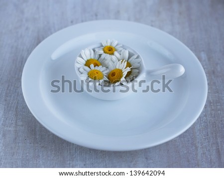 summer wild flower camomile in the small plate on the flat plate