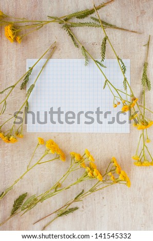 frame of wild flowers and  paper for writing