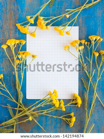 frame of wild flowers and  paper on the blue