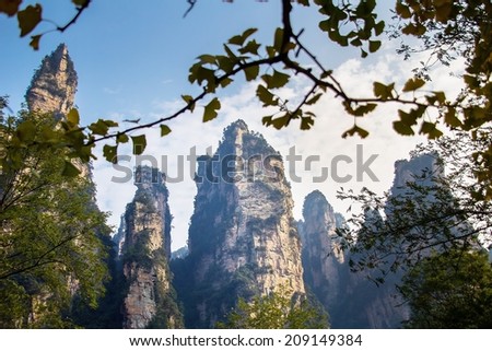 ZHANGJIAJIE,CHINA - OCT 20, 2013  Zhangjiajie National Forest Park, set up in 1982, is the first authorized national forest park in China. The area covers 480 thousand square meters(185 square miles).