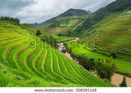 Green Rice fields on terraced in Mu cang chai, Vietnam