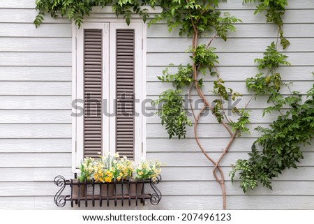 European style window and tree