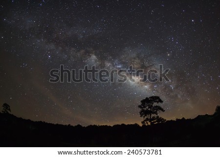 Silhouette of Tree and Milky Way  Phu Hin Rong Kla National Park,Phitsanulok Thailand