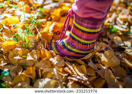 Leaves and colorful boots. Close up of kid feet walking in colorful boots.