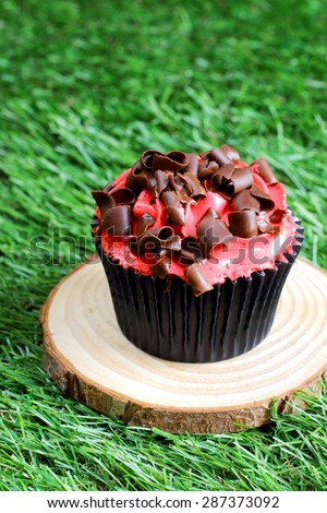 Delicious raspberry and chocolate cupcake on a wooden slab on the grass