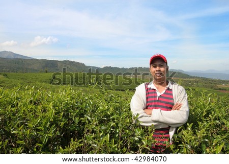farmer standing on his tea plantation
