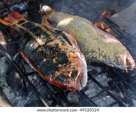 cooking big fish
