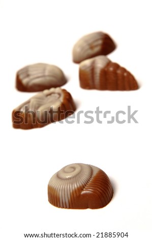 Shell Chocolates