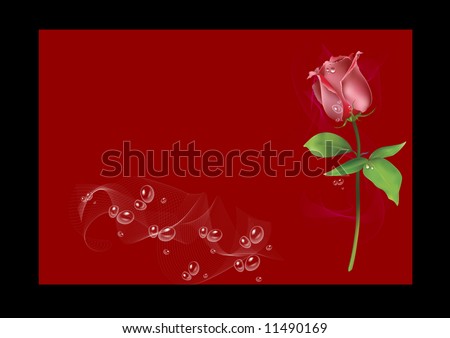 A rose with water droplets and a white and purple swirl on a red and black background