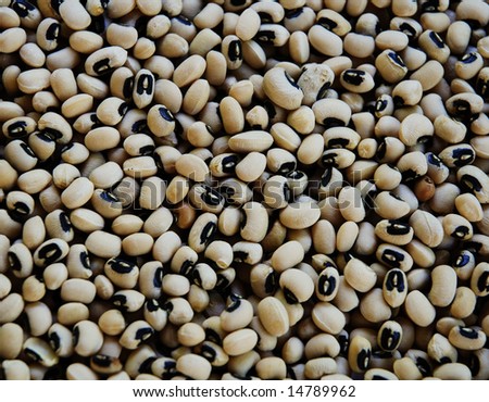 Background with hundreds of Black eyed beans