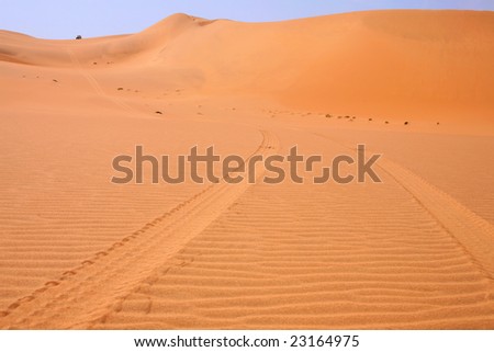Car prints in sand, namibian desert - Africa