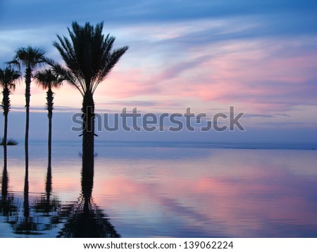 Sunrise blue and pink light scattering across the clouds and pool, reflecting the infinity pool and silhouetted palm trees.