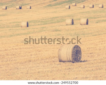 Vintage Effect Of Hay-Roll On Meadow Landscape After Harvest