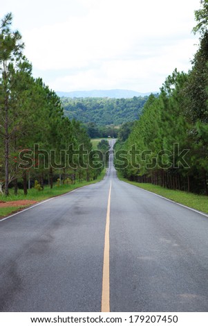 Road down hill through the green forest, asphalt road, black road, highway, street, symmetry road