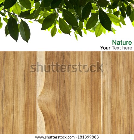wood and green leaves on white background, green leaves over wood fence, natural material