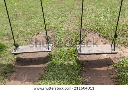 pair of swing in the garden, green grass background