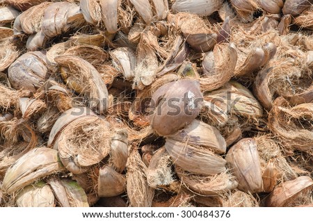 pile of coconut husk in coconut plantation