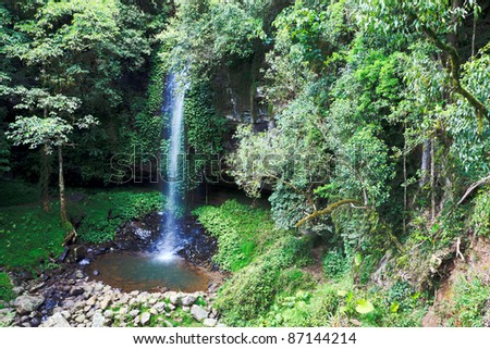 rain-forest crystal waterfall horizontal shot green trees around water stream falling from the rock in mountains
