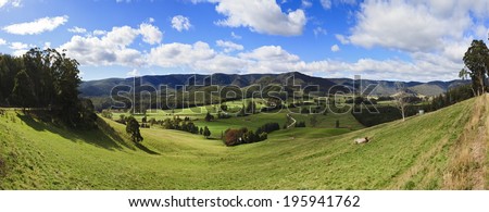 green grazed pasture in picturesque valley in Australia panoramic view on agriculture livestock farm with distant cattle