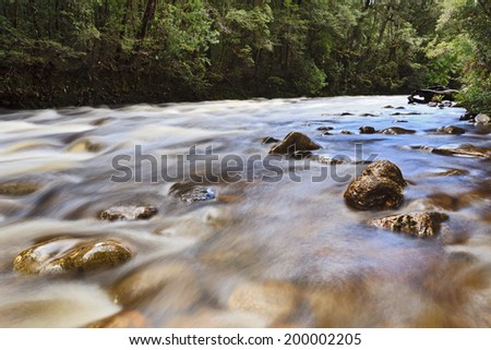 australia tasmania Franklin River national park with flooded flowing river over boulders surrounded by lush trees