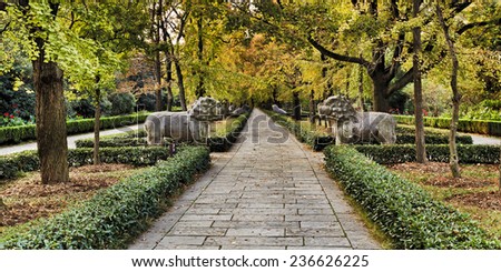 China Nanjing Ming Dynasty tombs alleyway in the park autumn season with yellow trees and stone statues escorting emperors