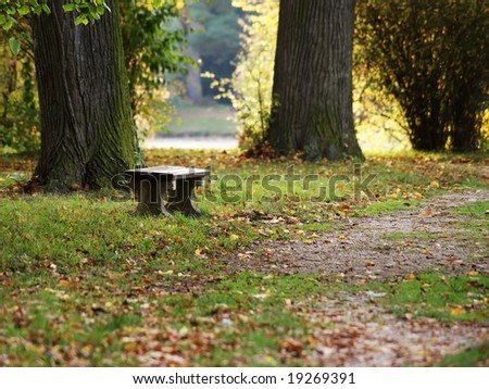 empty park bench in autumn park