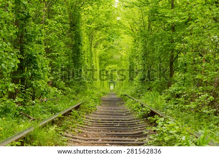Ukraine. Spring. Railway in the dense deciduous forest. \