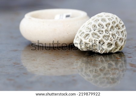A Broken Piece of Coral used to Decorate a Table besides an Ash Tray