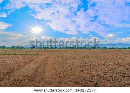 Preparing land for crop cultivation under the sun.