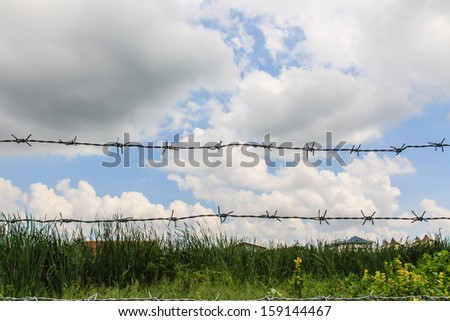 Fence with barbed wire on the grass against the sky background.