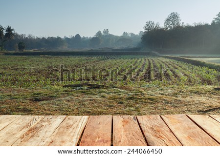 Rural farm field of wood and space with winter landscape