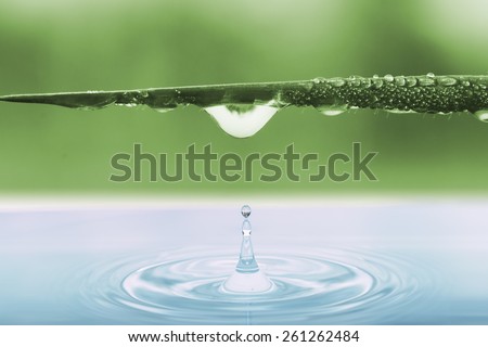 Water drops from leaves grass of green  background