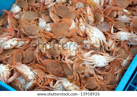 crabs at the market