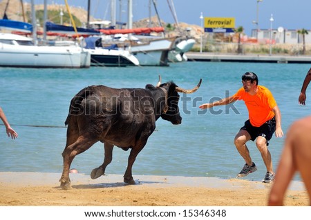 spanish people in fiesta - bulls in the water - moraira, alicante - spain, july 2008