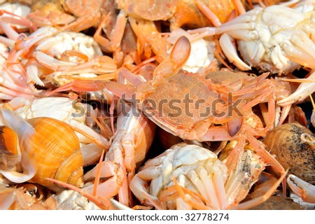 fresh crabs at the market