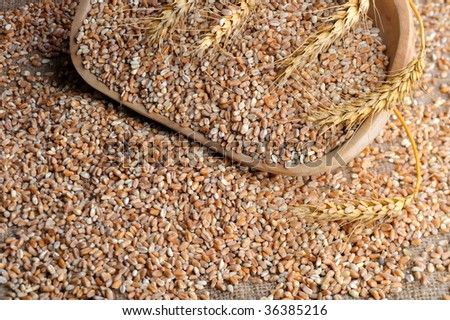 dried wheat seeds