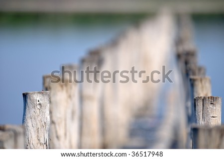 wooden stakes in the lake