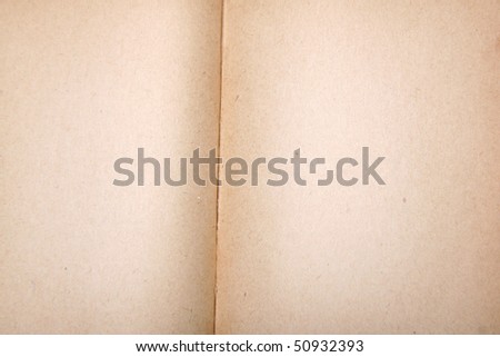 Blank pages of an old book in close up