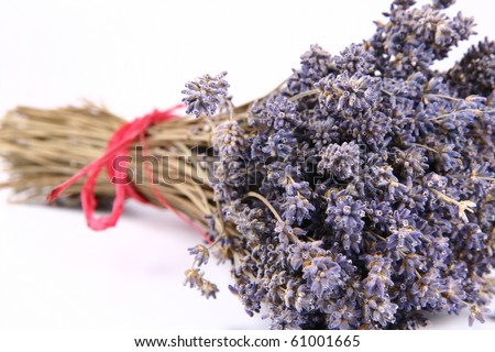 Bunch of dried lavender tied with a red string on white