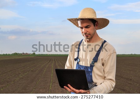 Farmer working on computer in corn field with copy space