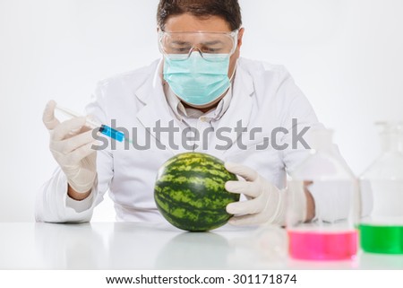 Scientist genetically modifying food. Watermelon
