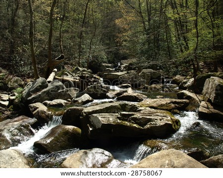 A fast flowing stream running over rocks in rural North Carolina