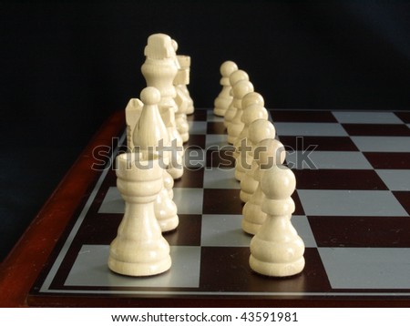 Bone white chess pieces ready to start the game