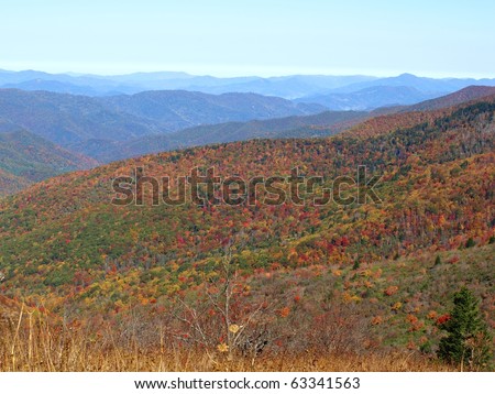 View along the Art Loeb trail in western North Carolina