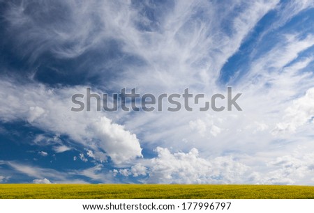 Big Sky over Yellow Fields
