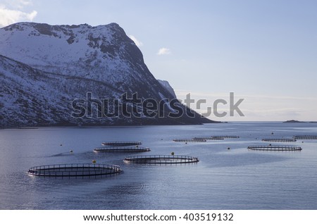 Fish,salmon farms in northern Norway. Senja