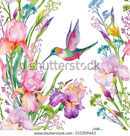 seamless pattern .irises flowers and a small Hummingbird.exotic print fabric,Wallpaper.watercolor illustration.