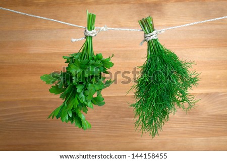 Fresh herbs: parsley and dill, hanging over wooden background