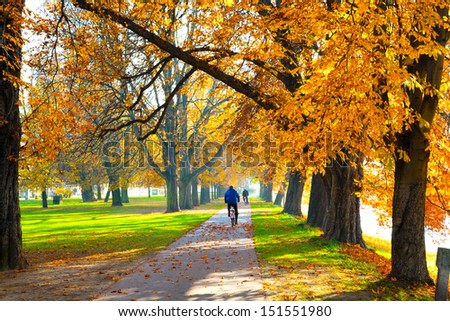 Pedestrian Walkway For Exercise Lined Up With Beautiful Fall Trees